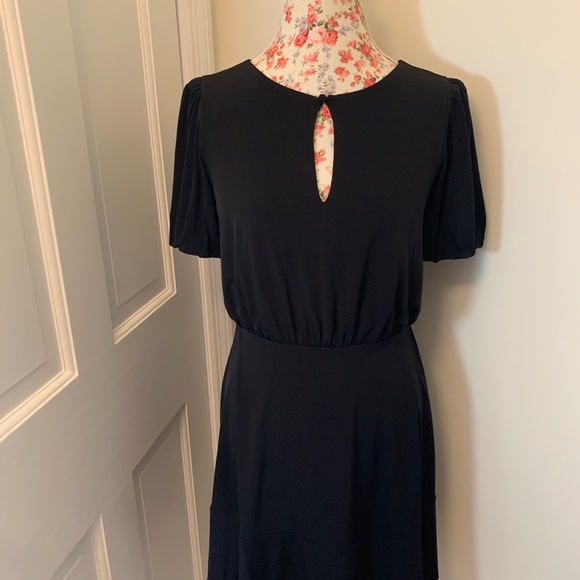 LOFT ✨✨NWTs✨✨Flounce Flair Dress - Picture 6 of 10